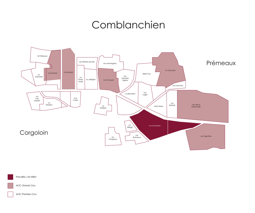 2016 Bourgogne Rouge, J-M.Millot
